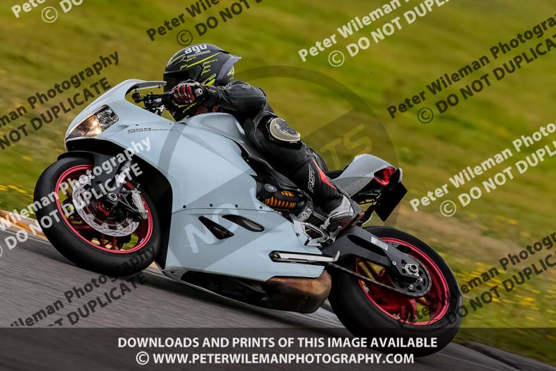 PJ Motorsport 2019;anglesey no limits trackday;anglesey photographs;anglesey trackday photographs;enduro digital images;event digital images;eventdigitalimages;no limits trackdays;peter wileman photography;racing digital images;trac mon;trackday digital images;trackday photos;ty croes